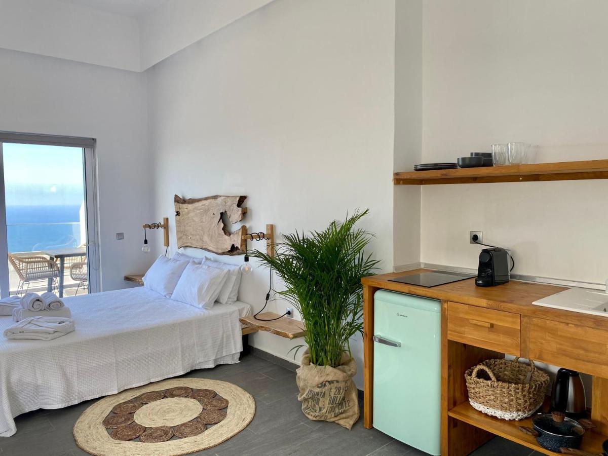 Villa Ioanna Oliveproject 플라키아스 외부 사진